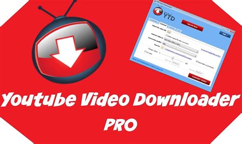 descargar video downloader professional